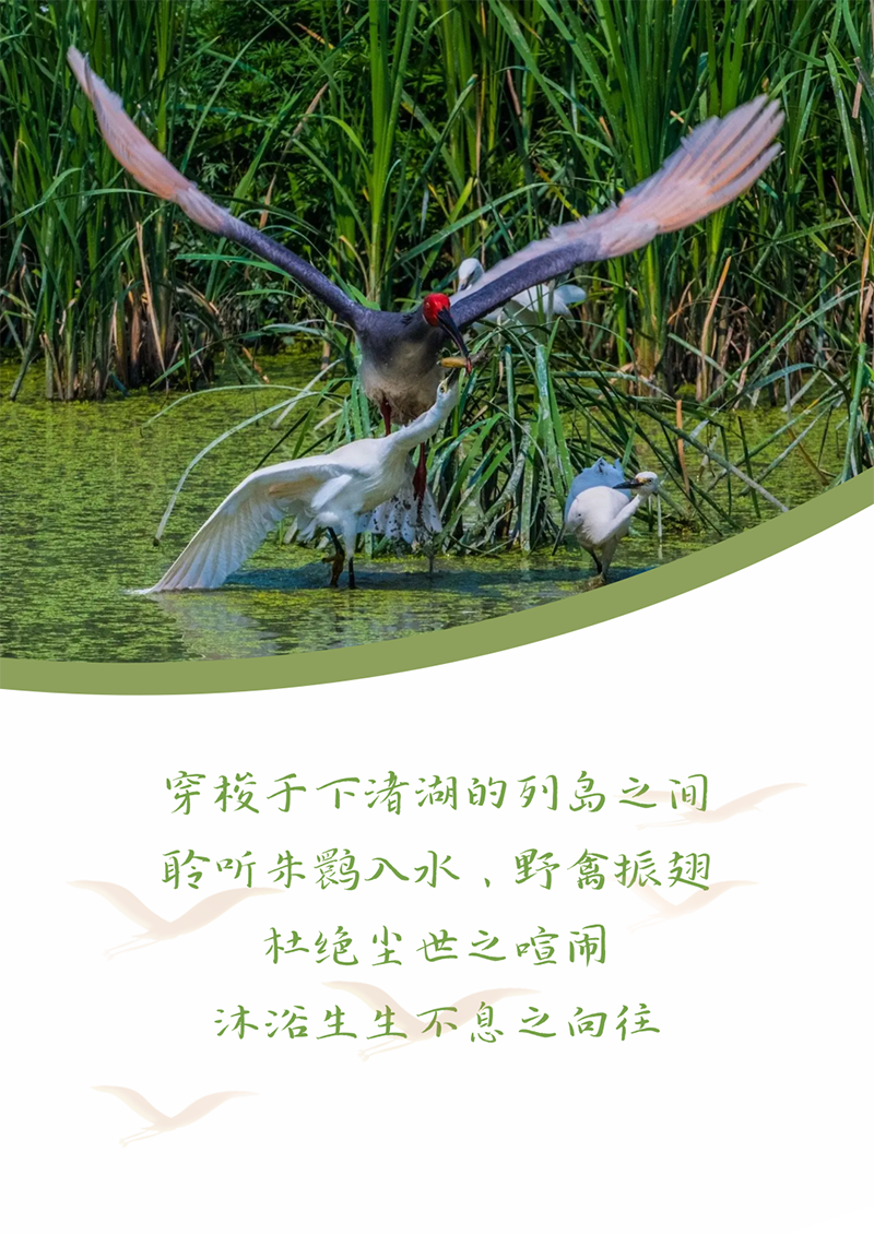 心心念廿 相伴欧亚国际 | 与德清相约 贺廿载诞辰